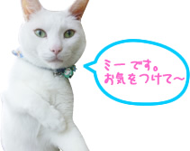 ミーです。お気をつけて～