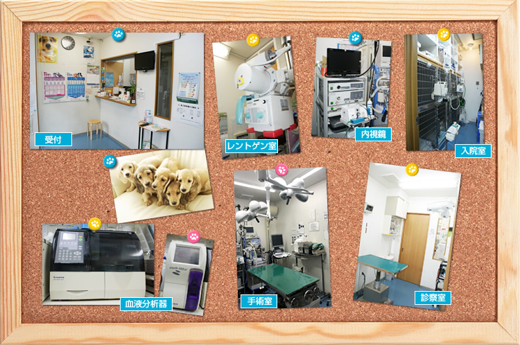 受付 レントゲン室 内視鏡 血液分析器 手術室 診察室 入院室