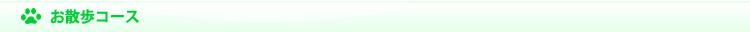 お散歩コース